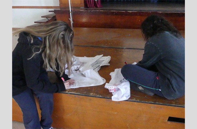 despidiendo a IV° actívate (39)