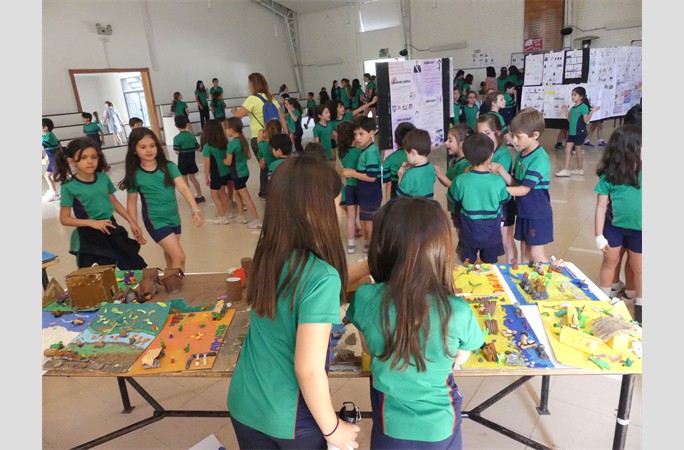 dia de historia (10)