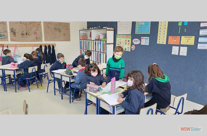 ecc 1°C (6)