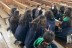 servicio 7° auxiliares (15)