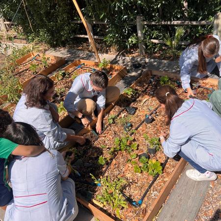 Thumb whatsapp image 2026 03 26 at 4.00.59 pm  6 