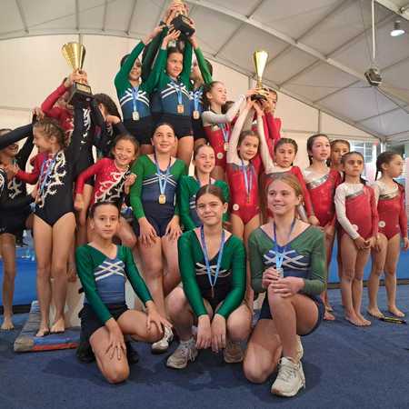 Thumb gimnasia art%c3%adstica 11 abril  7 