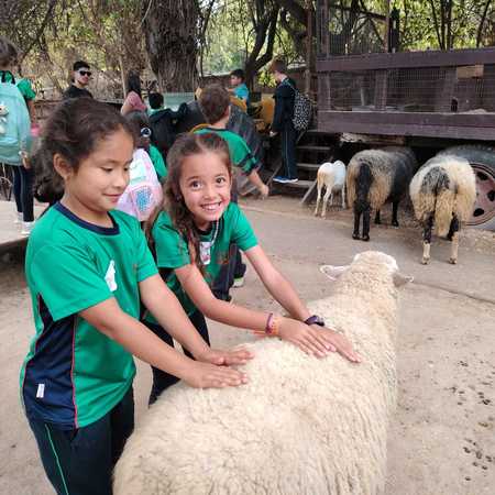 Thumb whatsapp image 2026 04 16 at 4.36.40 pm  2 