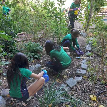 Thumb whatsapp image 2026 04 22 at 1.14.08 pm